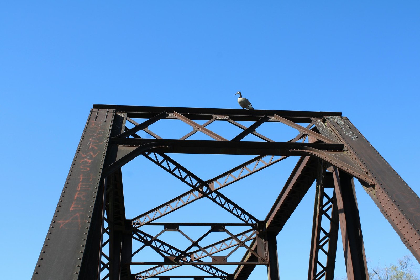 Portal bracing, south span